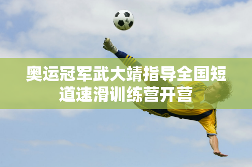 城也是职业
